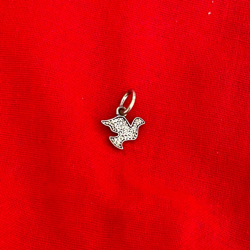 Pretty Pandora Charm
